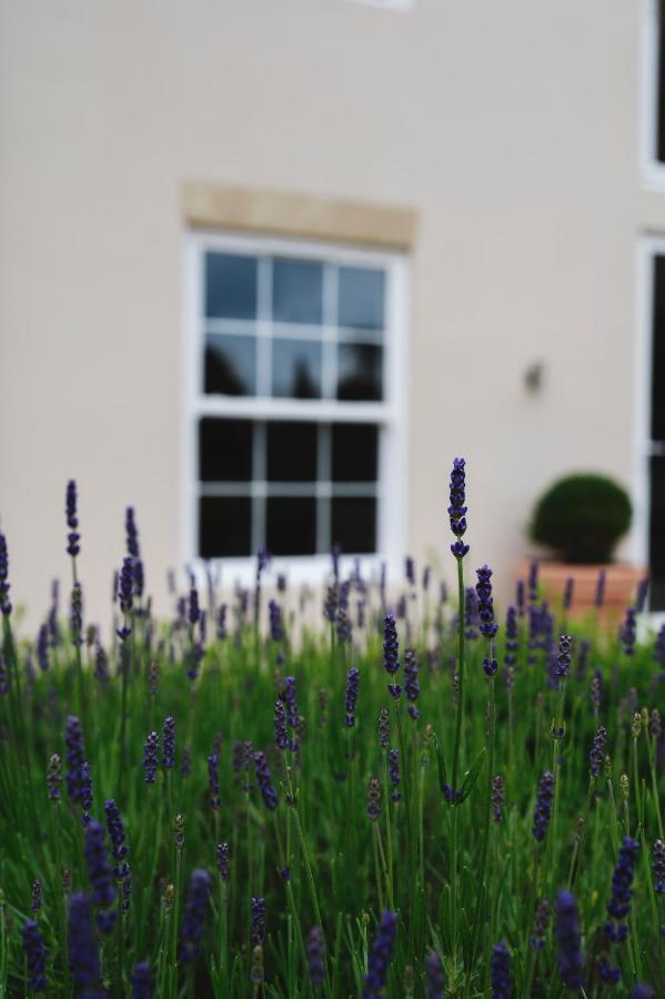 Large Country House - Hot Tub - Pool Table - Bbq - 5 Bedrooms - Log Burner Three Legged Cross Exteriör bild